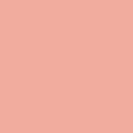 Liquitex Heavy Body 59ml 330 Raw Sienna