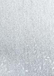 Stift CDA Technograph 3mm 6B
